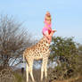 Jeannie, Giraffetauress