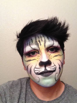 Cats musical makeup ish