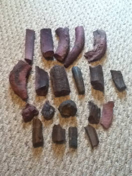 Manatee Bones (Make Offer/Trade)