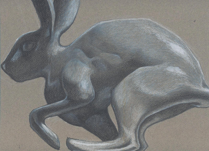 colored pencil rabbit by baby-snakes on DeviantArt