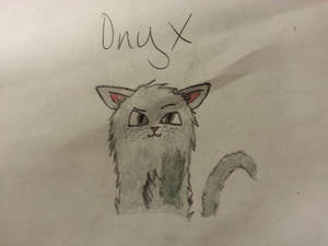 Onyx as a cat