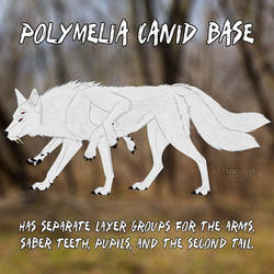 Polymelia Canid base