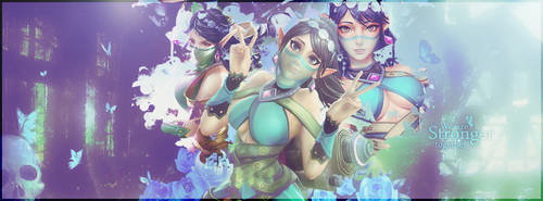 Ying Paladins Banner v2