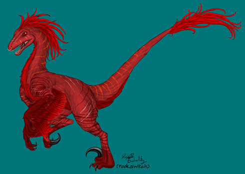 Deinonychus  Red Sky