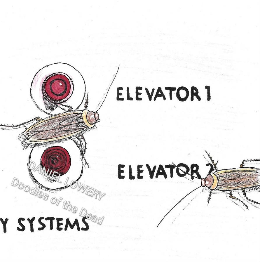 Creepshow (1982) They're Creeping Up On You by ZombieLowery on DeviantArt