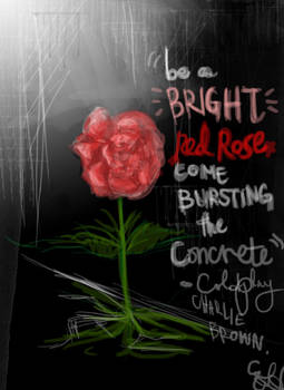 Be a Bright Rose