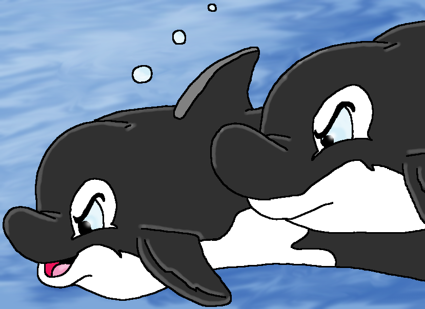 Hunting Orcas