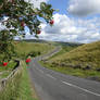 Winding road