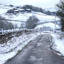Country Lane