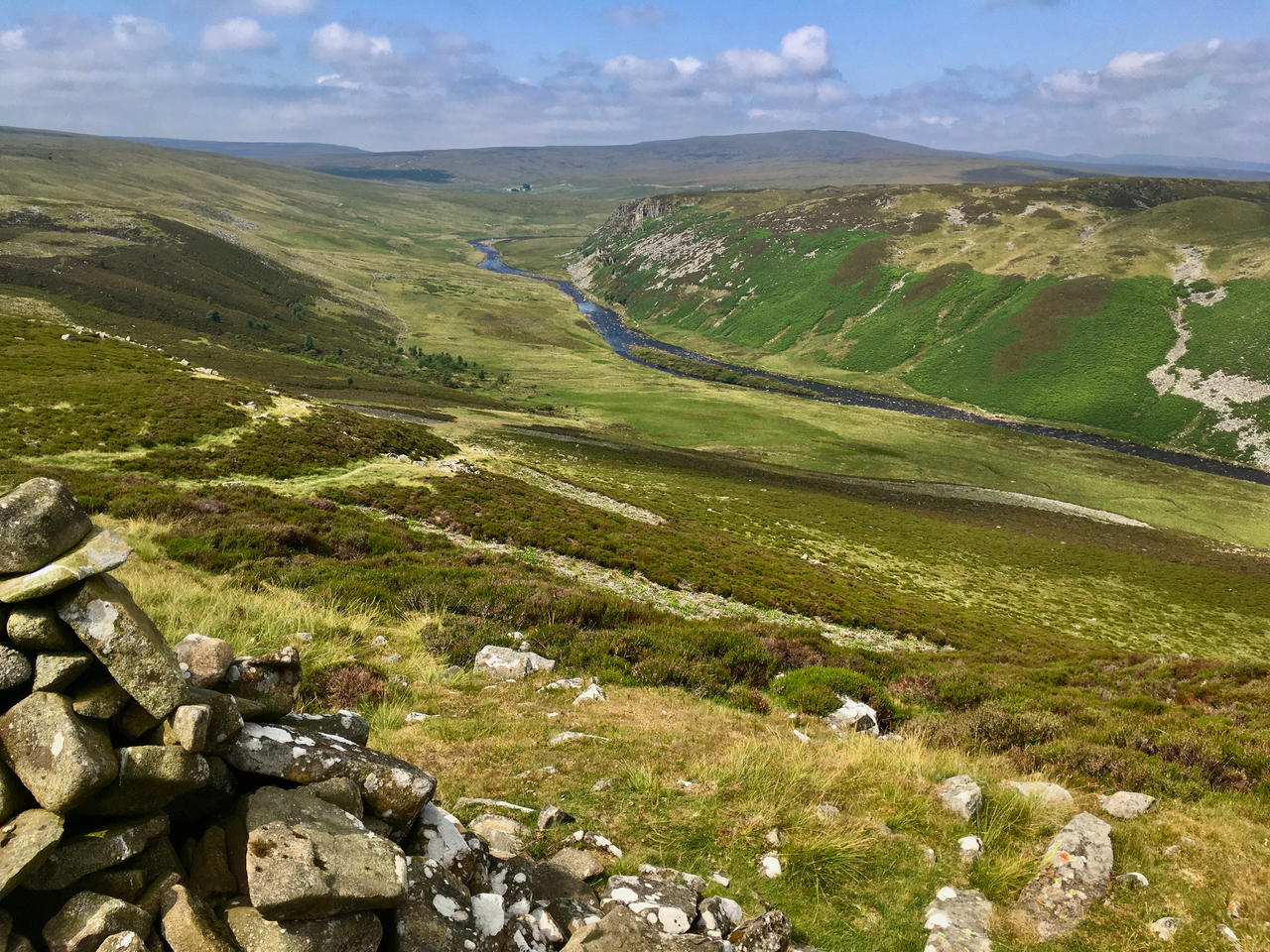 River Tees
