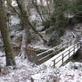 Thornley Woods