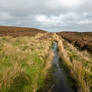 Muggleswick Common