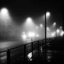 foggy night