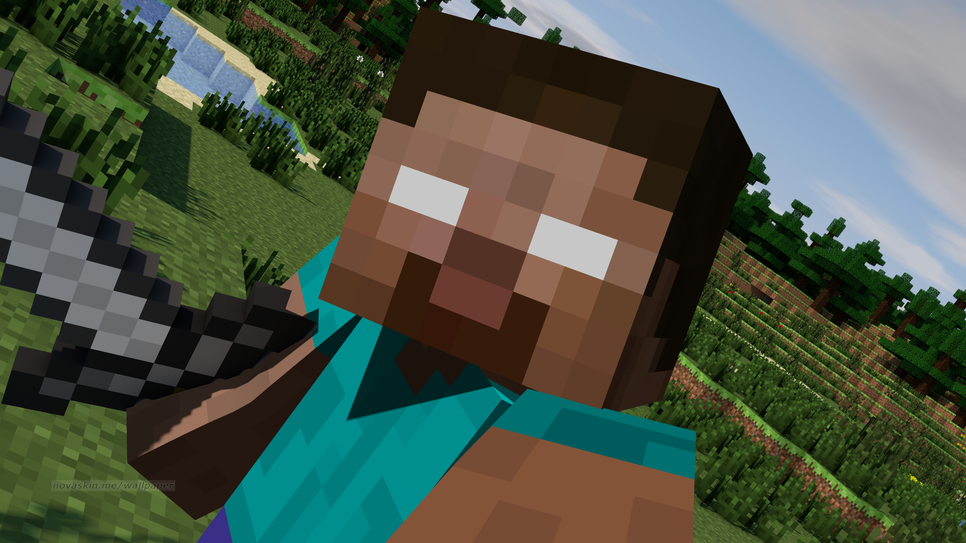 [Minecraft] I found you steve