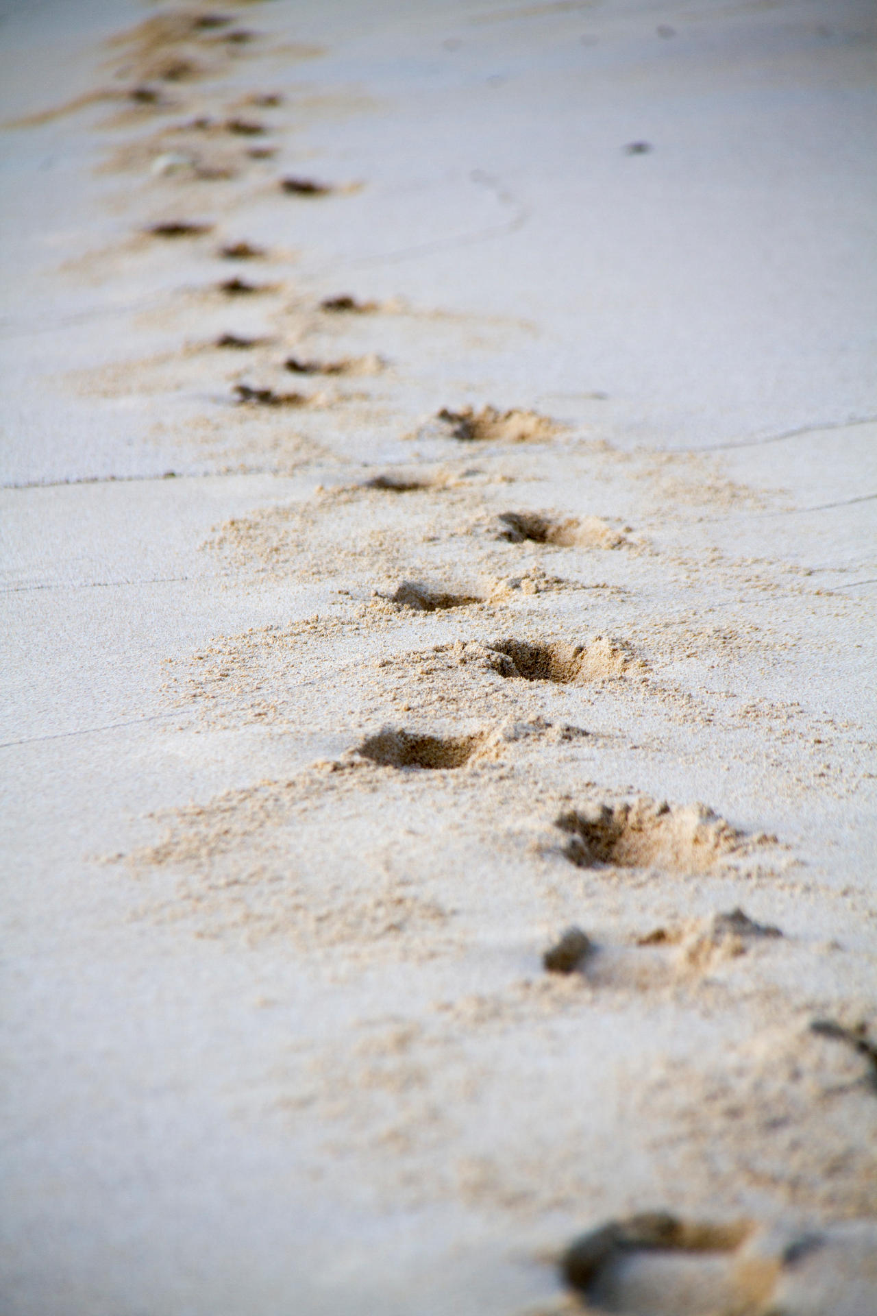 Sand print by ForgottenIllustrator on DeviantArt