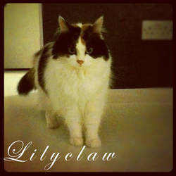 Lily~Personal Gift c: {Photo Edit}