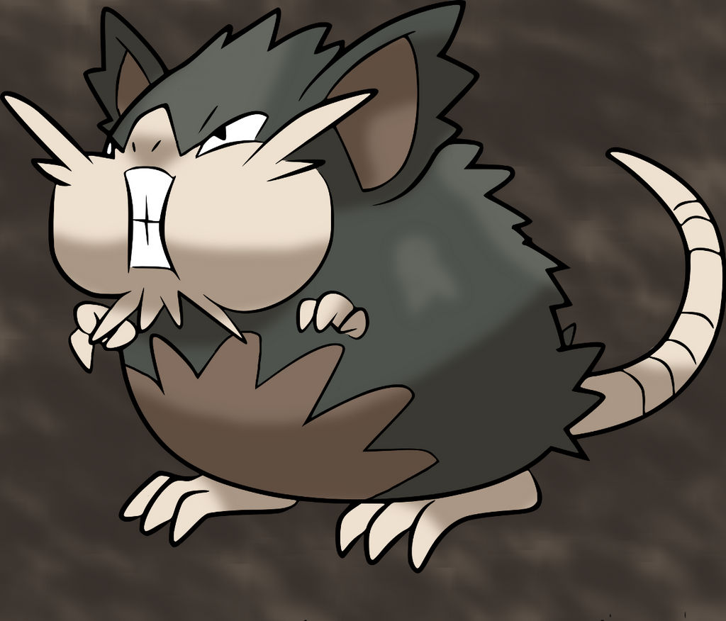 Alolan Raticate from Pokemon by SogefloColo on DeviantArt
