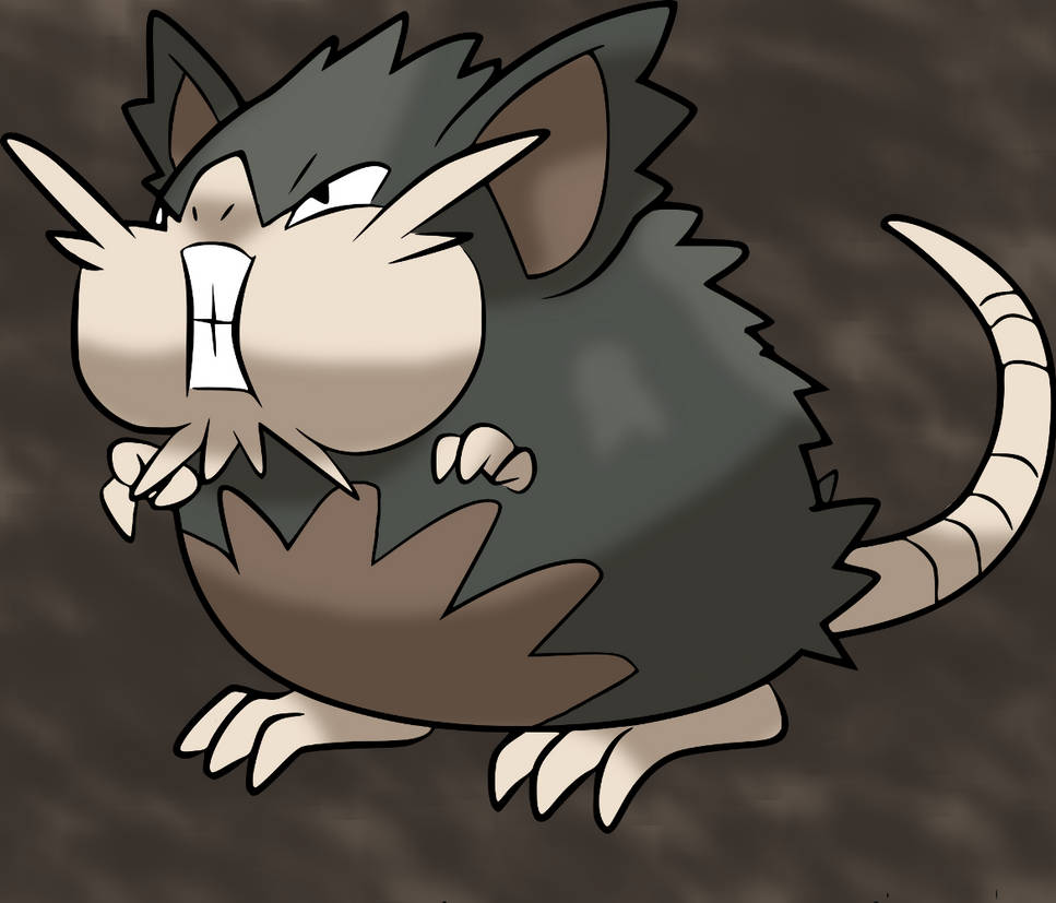 Alolan Raticate from Pokemon by SogefloColo on DeviantArt