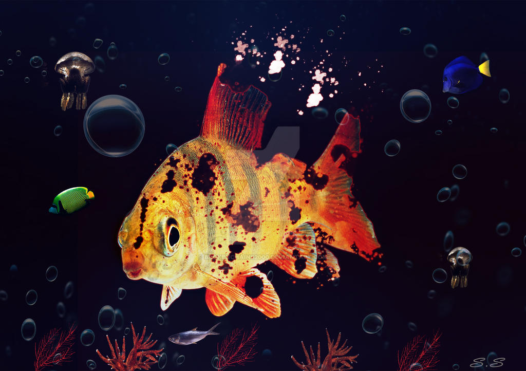 Corpse Fish by BrokenChains2000 on DeviantArt