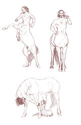 Centaur sketchdump