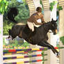 Rinascimento Vivente: Show jumping