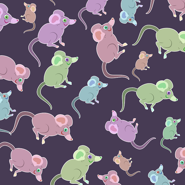 Mouse pattern