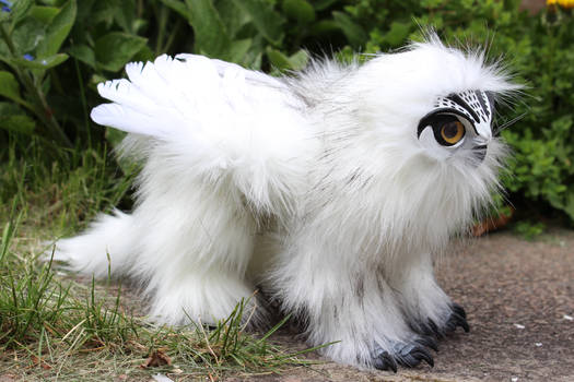 Snowy Owl Griffin artdoll