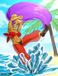 Summer Shantae Redraw