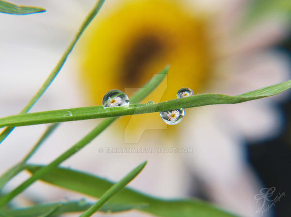 Hurry Spring Hurry. by Ezrianna on DeviantArt