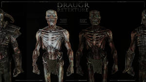 [PC/Xbox One] Skyrim SE - Draugr Retexture