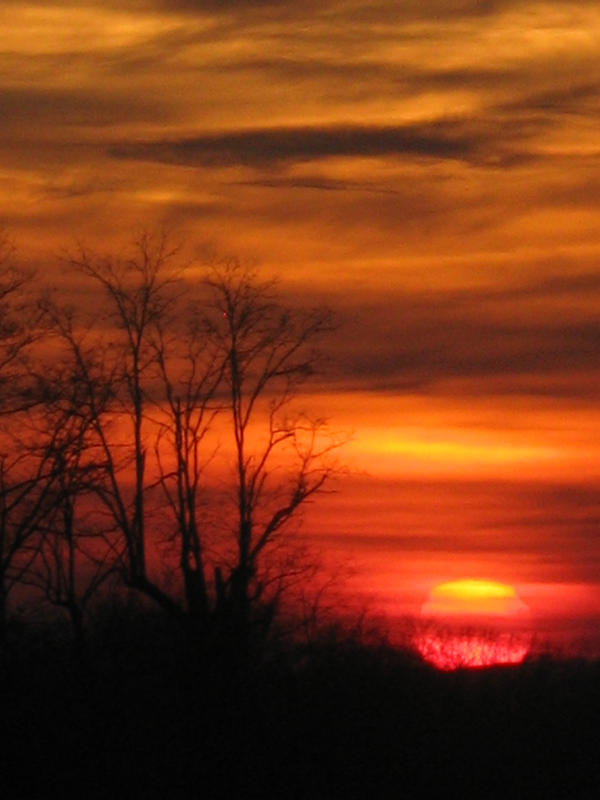 Sunset Shadow Protection Sunset Shadows no. 1 by Momosanpeach on DeviantArt