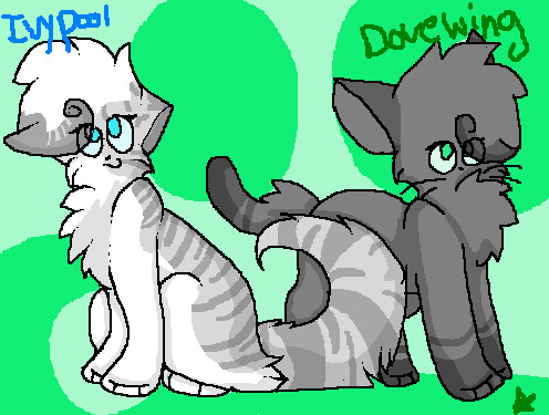 Ivypool and Dovewing