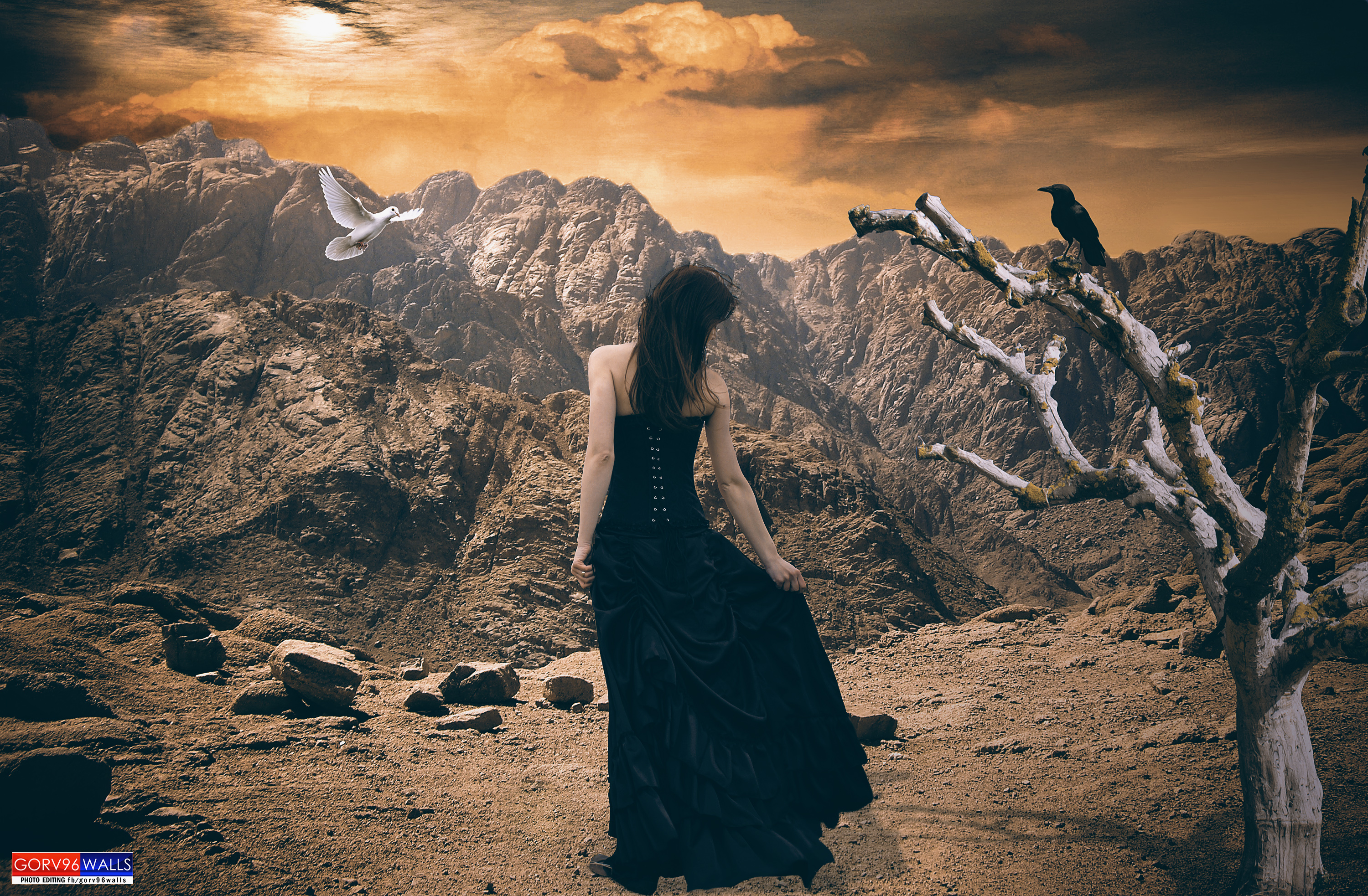 Manipulation by Gorv96walls by gorv96