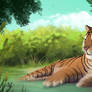 Tiger Relaxing