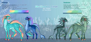 Clionedeus Ceffyl - Open Species