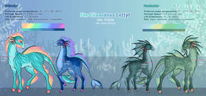 Clionedeus Ceffyl - Open Species