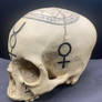 Wiccan Skull