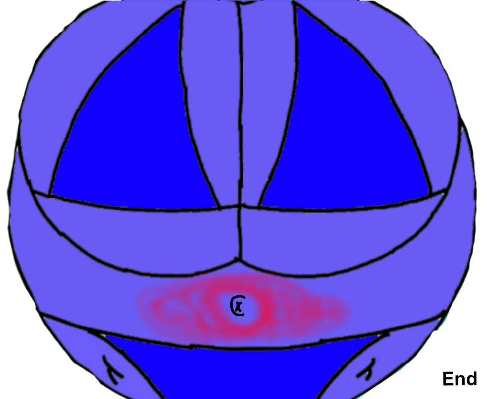 P Blueberry Inflation by Polarman546 on DeviantArt