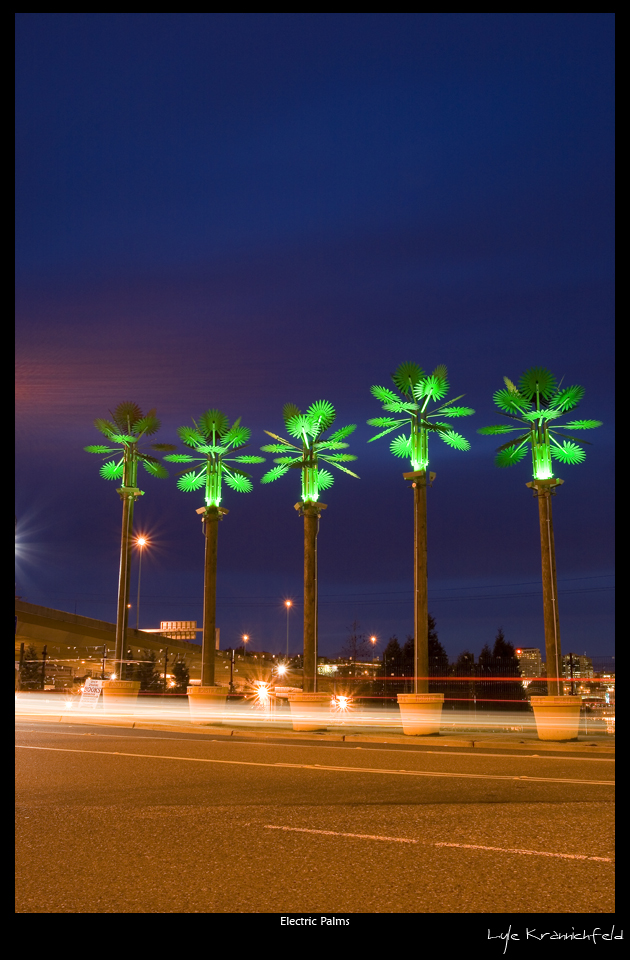 Electric Palms