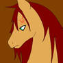 GAARA PONY