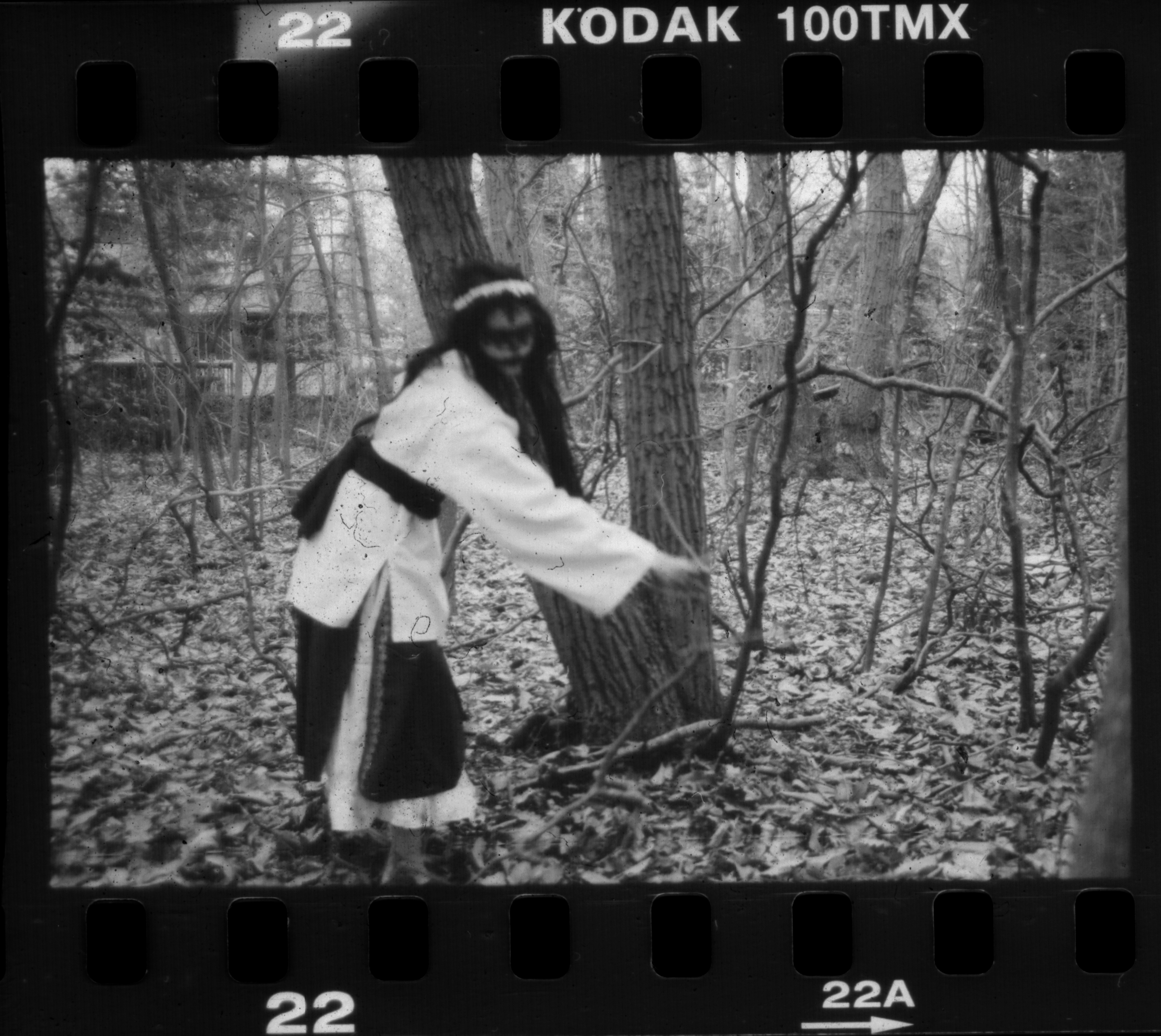 In the Woods No. 1 by sedge