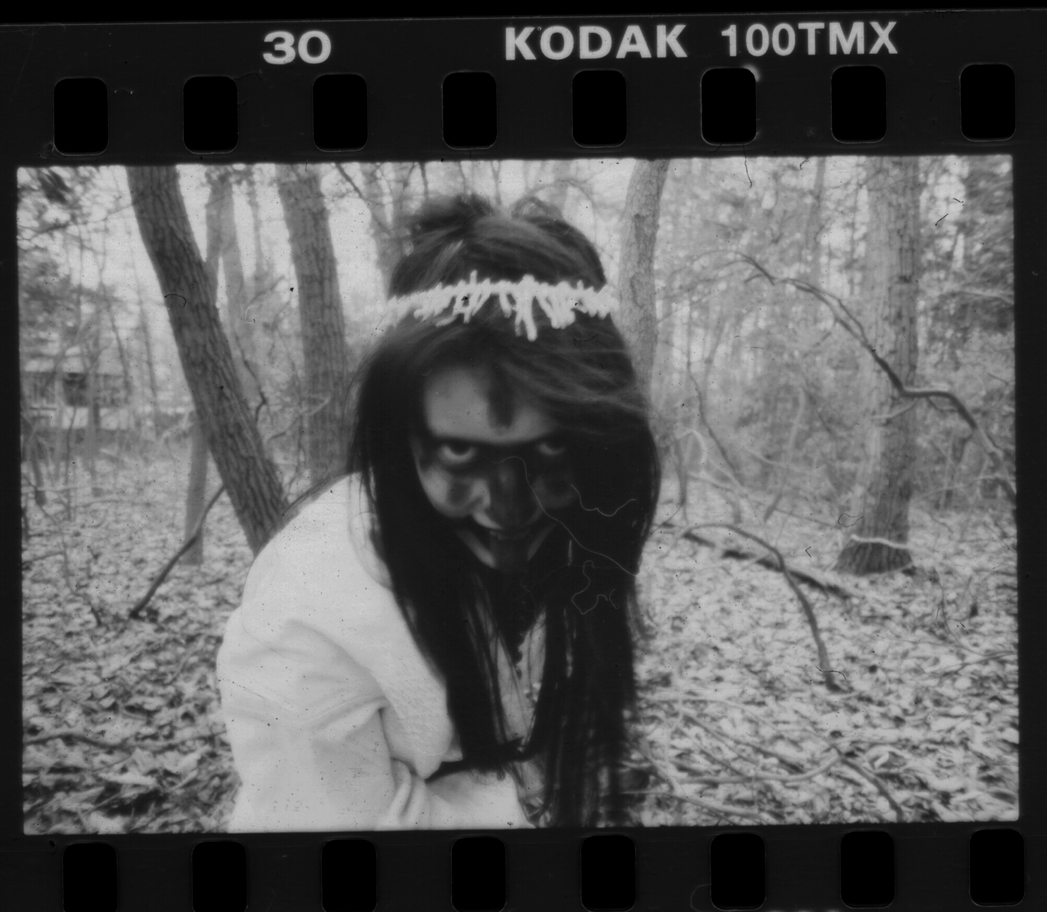 In the Woods No. 8 by sedge