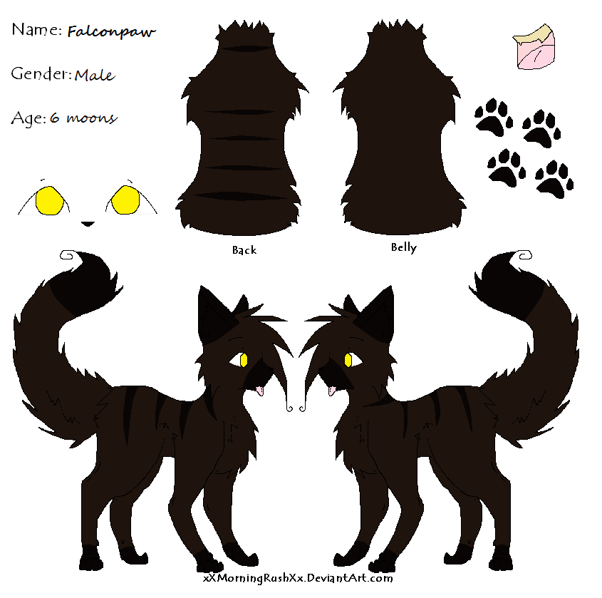 Falconpaw Ref Sheet.