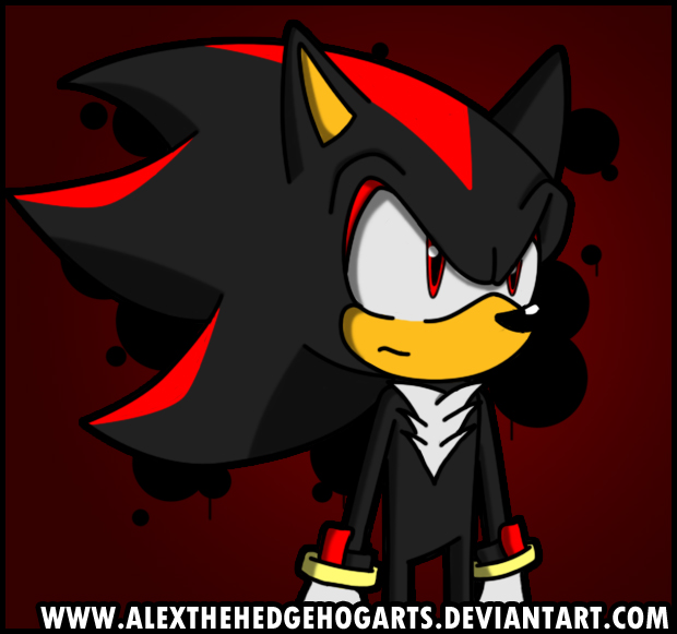 Shadow the Hedgehog FTW