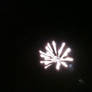 Firework 7