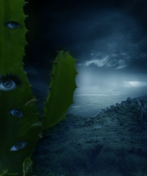 Ocular Cactus