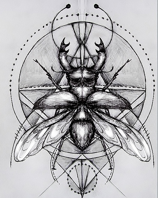 stag beetle thingy