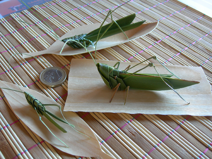 grasshoppers with palmleaves