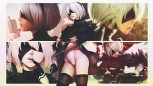 2b Wallpaper