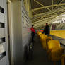 Dynamo Dresden Stadium Tour 50